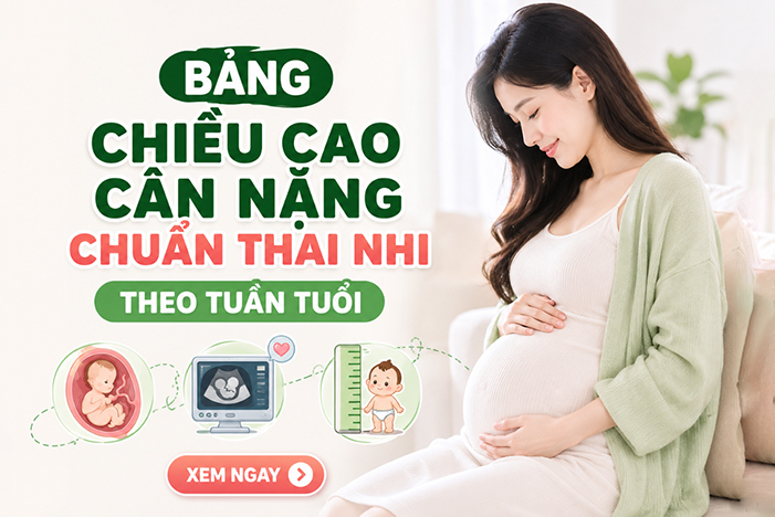 Bảng chiều cao cân nặng của thai nhi theo tuần tuổi chuẩn theo WHO