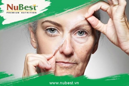 Cách chống lão hóa da vùng mắt giúp kéo dài tuổi thanh xuân