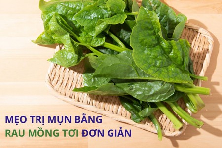 Cách trị mụn bằng rau mồng tơi nên lưu lại ngay