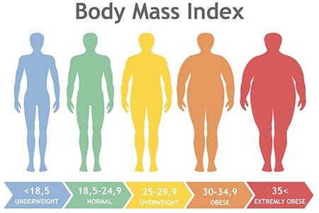 Chỉ Số Khối Cơ Thể BMI Là Gì? Bí Quyết Để Có Chỉ Số BMI Lý Tưởng