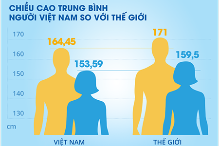 Chiều cao trung bình người Việt Nam năm 2024 là bao nhiêu so với thế giới