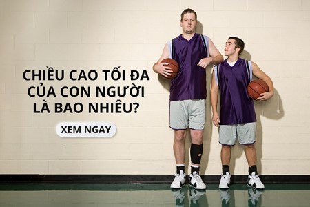 Chiều cao tối đa của con người là bao nhiêu?