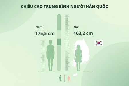 Chiều cao trung bình người Hàn Quốc là bao nhiêu?