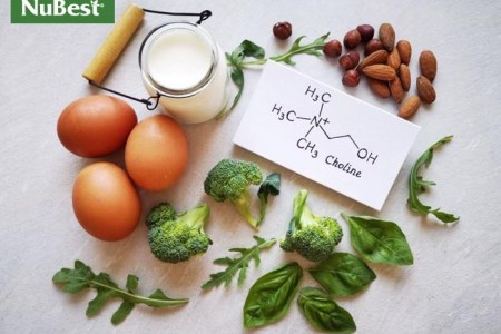 Choline là gì? Cách bổ sung cho con trẻ nhỏ?