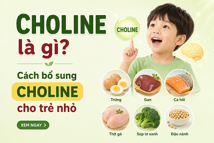 Choline là gì? Cách bổ sung cho con trẻ nhỏ?