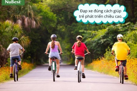 Tại sao lưng dài chân ngắn? Cách khắc phục hiệu quả?