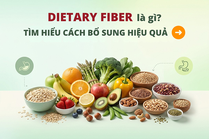 Dietary fiber là gì? Cách bổ sung cho trẻ hiệu quả
