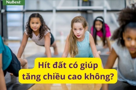 Hít đất có tăng chiều cao không - Cách luyện tập chuẩn?