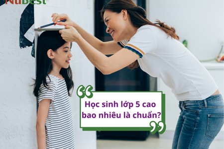 Lớp 5 cao bao nhiêu là chuẩn?