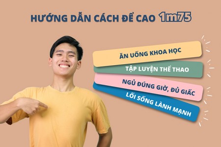 Cách để cao 1m75 nhanh chóng - Áp dụng ngay!