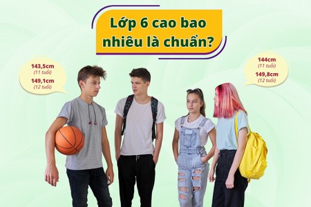 Lớp 6 cao bao nhiêu là chuẩn?