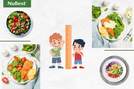 Thực đơn tăng chiều cao cho trẻ đầy đủ chất dinh dưỡng