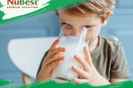 Uống sữa không đường có tăng chiều cao không?