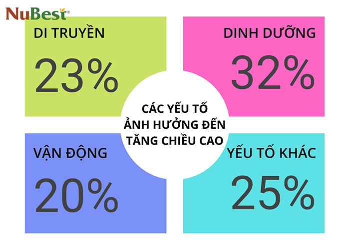 Những yếu tố chính ảnh hưởng đến sự phát triển chiều cao
