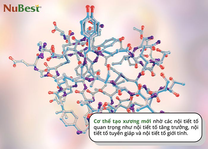 Nội tiết tố có ảnh hưởng quan trọng đến chiều cao trong giai đoạn phát triển tự nhiên