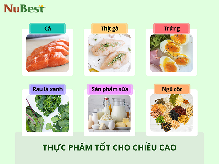 Bổ sung dinh dưỡng thiết yếu với các thực phẩm lành mạnh