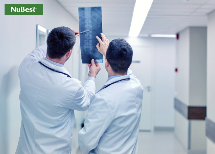 Xem xét các kết quả chụp X-quang và chẩn đoán từ bác sĩ chuyên ngành&nbsp;