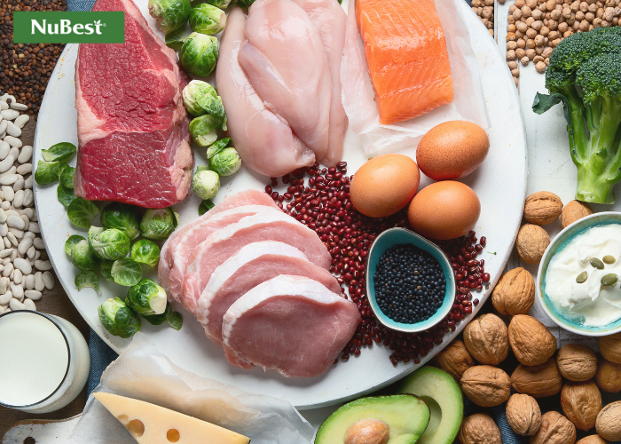 Kết hợp hấp thu các thực phẩm giàu đạm có trong các bữa ăn chính - phụ&nbsp;