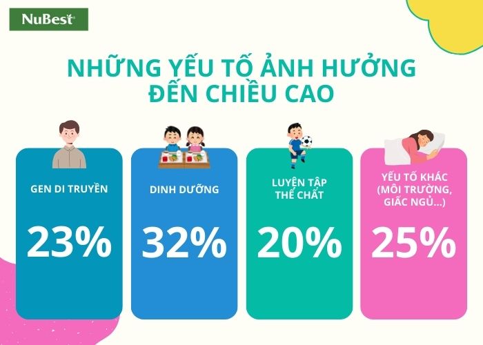 Những yếu tố chính tác động đến sự phát triển chiều cao