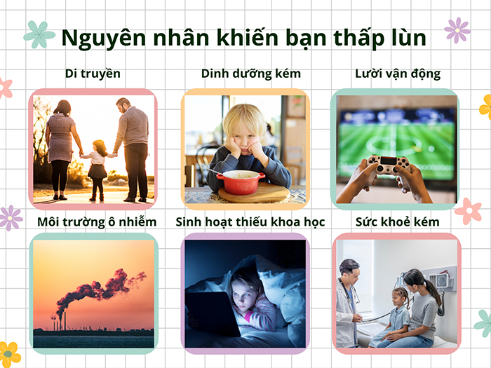 Bật mí các nguyên nhân khiến bạn thấp lùn&nbsp;