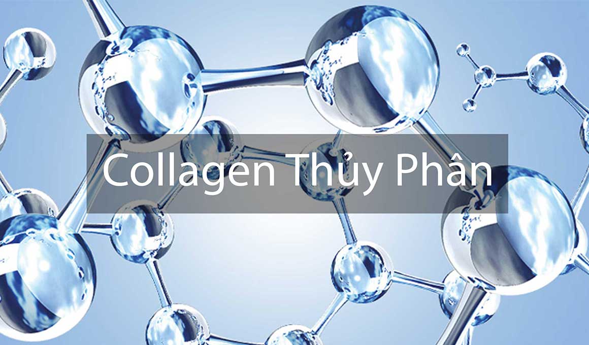 Collagen type 2 thủy phân