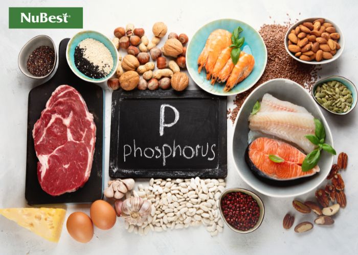 Gợi ý một số loại thực phẩm giàu hàm lượng photpho