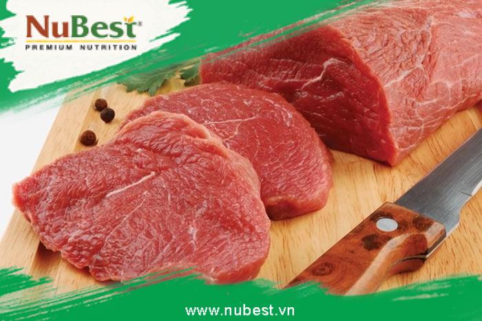 Thịt bò thuộc nhóm thịt đỏ, giàu đạm và khoáng chất