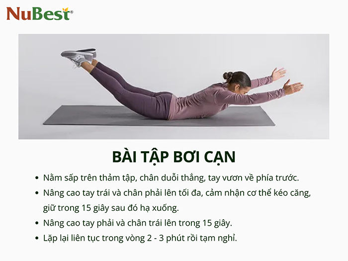 Các bước tập bài bơi trên cạn