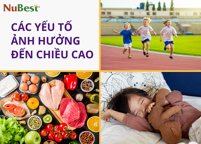 Quá trình phát triển chiều cao bị ảnh hưởng bởi nhiều yếu tố khác nhau