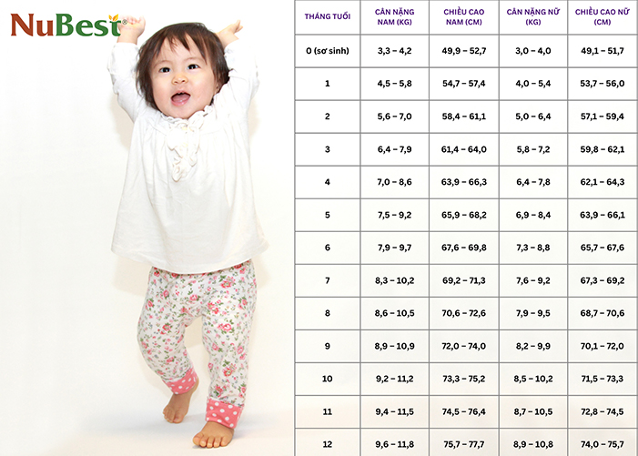 Bảng chiều cao cân nặng chuẩn của trẻ sơ sinh