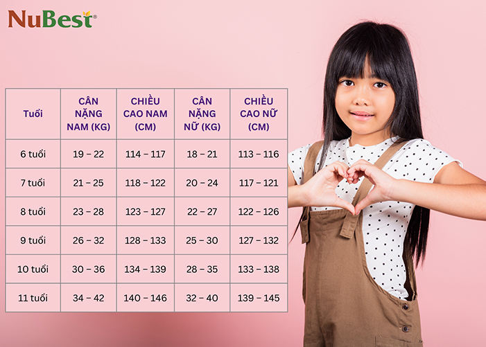 Bảng chiều cao cân nặng chuẩn của trẻ 6 - 11 tuổi