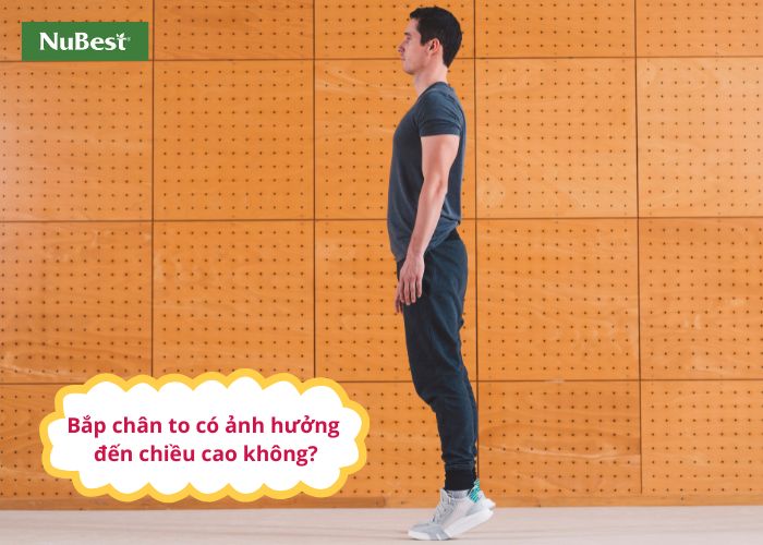 Bắp chân to ảnh hưởng đến chiều cao như thế nào?