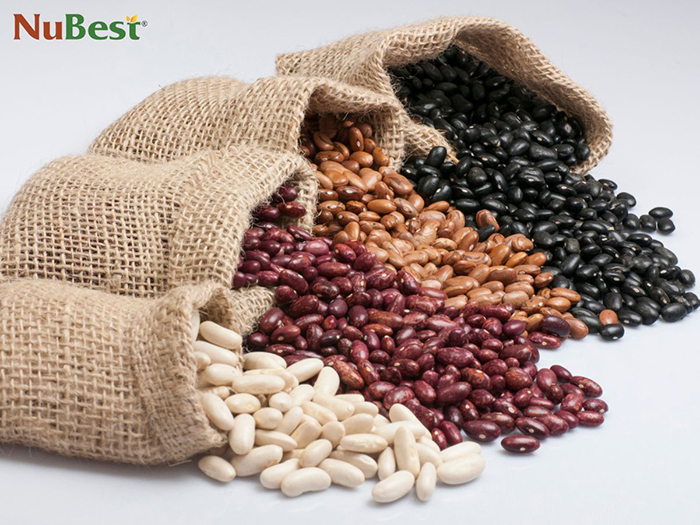 Các loại hạt cung cấp đa dạng vi khoáng chất và chất xơ cho cơ thể