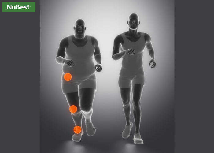 Béo phì gây ra áp lực lên hệ thống xương khớp trên toàn bộ cơ thể&nbsp;