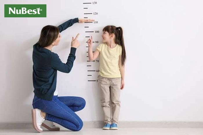 Chiều cao của chúng ta chịu ảnh hưởng từ chiều cao của cha mẹ