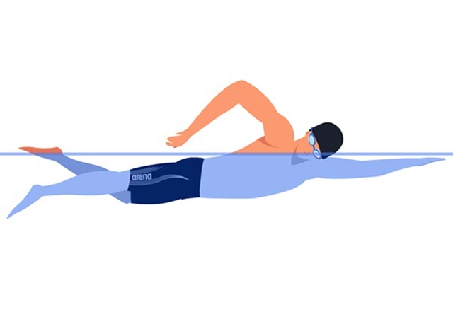 Bơi sải kích thích các cơ hoạt động liên tục, thúc đẩy quá trình lưu thông máu trong cơ thể