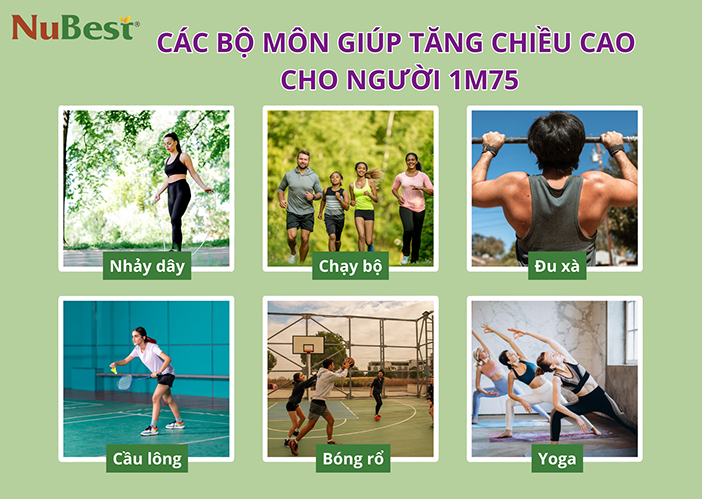 Các bộ môn giúp tăng chiều cao cho người cao 1m75