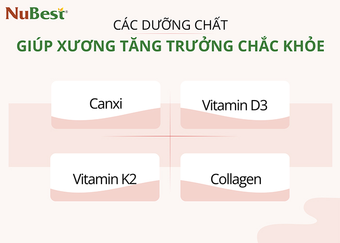 Các dưỡng chất giúp xương tăng trưởng chắc khỏe