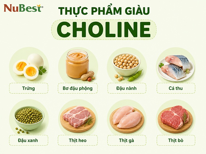 Thực phẩm giàu Choline có thể bổ sung hằng ngày cho trẻ.