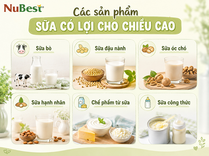 Các sản phẩm sữa có lợi cho chiều cao.