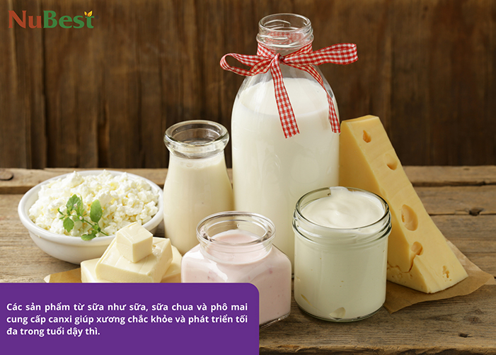 Sữa và các sản phẩm từ sữa hỗ trợ tốt cho chiều cao