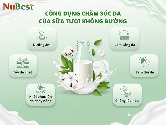 Công dụng lý tưởng của sữa tươi không đường trên da