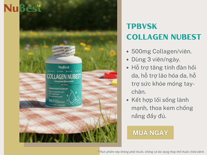 TPBVSK Collagen NuBest hỗ trợ bổ sung Collagen thủy phân cho da