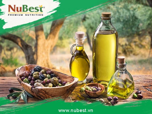 Dầu olive - một loại dầu thực vật nổi tiếng tại vùng địa trung hải