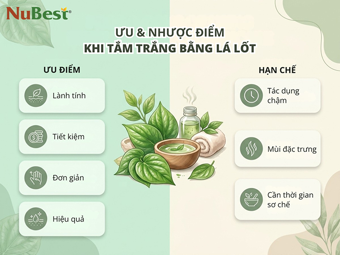 Ưu và nhược điểm của lá lốt trong quá trình làm đẹp da.