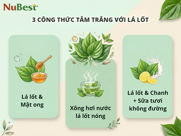 3 công thức tắm trắng với lá lốt có thể thực hiện tại nhà.