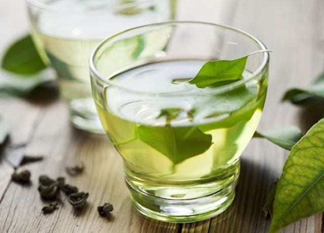 Lá trà xanh tươi có khả năng kháng khuẩn, tiêu viêm hiệu quả