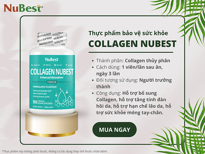 TPBVSK Collagen NuBest hỗ trợ bổ sung 1500mg Collagen/ngày