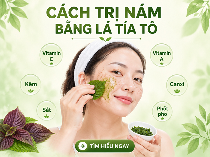 Lá tía tô chứa nhiều dưỡng chất nên được sử dụng để trị nám da hiệu quả.