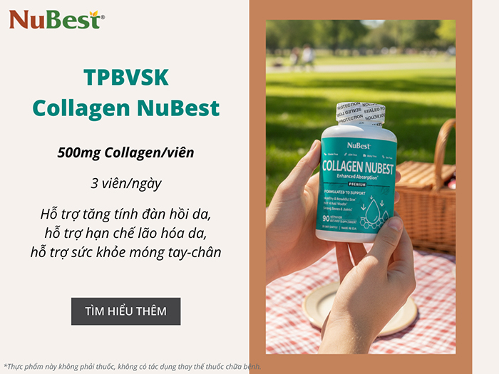 TPBVSK Collagen NuBest là sản phẩm hỗ trợ bổ sung Collagen đang được tin dùng